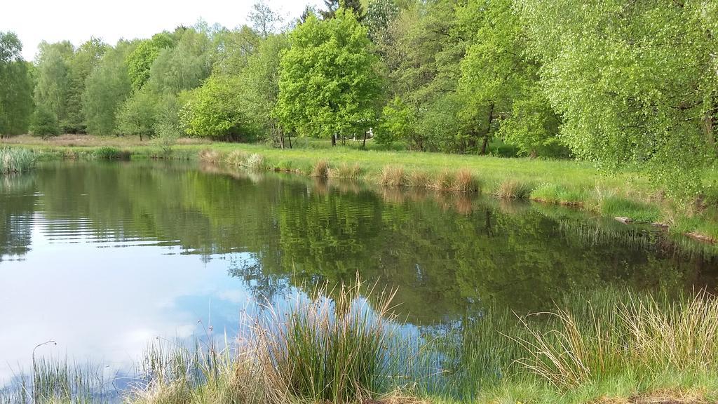Gastezimmer - Campingplatz Am Muhlenbach Зольтау Екстер'єр фото